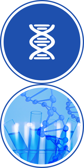 生命科學(xué)